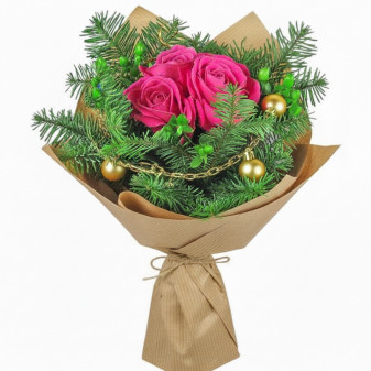 Мороз и солнце